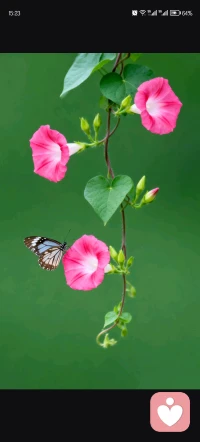 焦虑不是敌人，它是你内心那个太想把事情做好的朋友，因为太着急，所以声音大了一点。
   别怕，坐下来，喝杯水，告诉它：“我看见你了，我们会慢慢搞定的。”