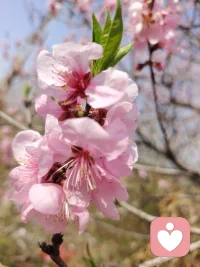 人的每个阶段都蕴藏着独特的美——少年有少年的朝气，壮年有壮年的丰实，老年有老年的从容，各有各的美好。
生命每一程都有它独特的美。这种美不只在于外表，更来自内心的沉淀、心性的修养，还有日常中积累的温和与善意。皱纹可以是智慧的印记，白发也可以是岁月的馈赠。当我们学会欣赏时光赠予的一切，就能坦然地与每一个年龄的自己好好相处。