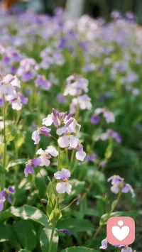万物皆为能量，没有消失，只有转化。
就像恐惧，它不是来伤害你的，只是一股被你误解的能量——那种让你心跳加速、手心冒冷汗、心里发紧的感觉，不是软弱的证明，而是你身体里的能量在提醒你：“这里有你在乎的东西，这里有你未被唤醒的力量。”
我们总觉得恐惧是坏事，是阻碍，却忘了：越让你害怕的地方，越藏着你最旺盛的生命力。
你害怕创业失败，不敢迈出第一步，不是你没能力，是你渴望成功，渴望证明自己；
你害怕被人否定，不敢表达真实的自己，不是你不够好，是你渴望被看见、被认可；
你害怕失去身边的人，整夜辗转难眠，不是你太脆弱，是你懂得珍惜，懂得爱。
恐惧就像一个沉默的信使，它不说话，只用力拉着你的衣角，指着一个方向，告诉你：“快看，这里有你最想要的东西，有你最该拥有的力量。”