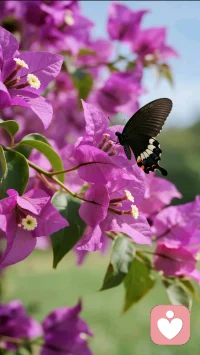 一个人，联结上父母的爱，会把对外所有的投射收回。在每段关系里，他就不会投射、操控、依赖，讨好取悦等，会让人感觉很舒服。