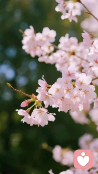 自信是可以大大方方的自卑
真正的自信，从不是完美无缺、从不胆怯，而是敢于直面自己的脆弱、承认自己的局限。
不必硬撑着假装强大，不用因为自卑而自我攻击，大大方方看见自己的不完美，接纳那个会胆怯、会敏感、会有短板的自己，这份坦然，本身就是最顶级的自信。
 
自卑不是羞耻，是你真实的一部分；自信也不是战胜自卑，而是允许自卑存在，依然好好爱自己。配图