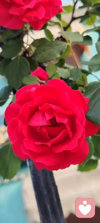 你无法给予别人你没有的东西—-包括爱。
如果你对自己充满苛责，你对他人的爱往往也带有控制或索取。先把自己照顾好，溢出来的爱才是健康的。