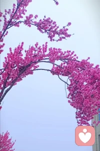 婚姻的实质远远不只是感情的结合。
而是资源的共享，能力的互补，利润的共生。
包括:经济上的协作，情绪的支持，危机的应对，家庭成长的规划。