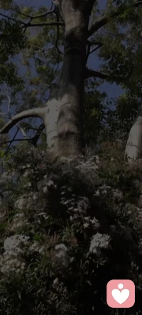 千人千面，你就是最好的自己。配图