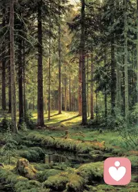 1. 阳光遍洒，无隅不至。配图