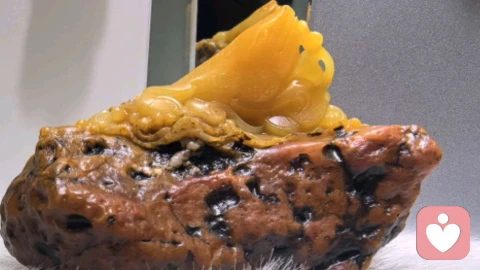 我爱石，石养我。