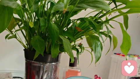 我对爱情的感受