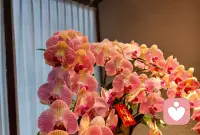 温柔倾听，治愈每一份疲惫。