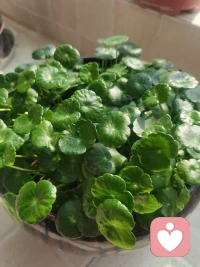 当你面对一个人倾诉的时候，疗愈自己就已经发生了