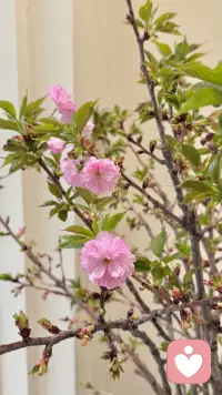 1. 别硬撑着假装自信
心里发慌、觉得自己不够好时，就坦诚说：“我现在确实没什么底气。”
不伪装、不逞强、不硬扛，反而会觉得一身轻松。
​
2. 允许自己有不完美的地方
不用事事都做到优秀，也不用讨好所有人让他们都喜欢你。
你可以平凡、可以有短板、可以暂时比不上身边的人。
自卑从来不是错，它是每个人都会经历的正常情绪。
​
3. 勇敢说出：我有点没把握
面对在意的人、重要的事，不必刻意装作淡定从容。
大方承认自己的紧张、不安和害怕，
这是真实的表达，从来不是掉价的行为。
​
4. 别因为自卑就选择逃避
害怕归害怕，该做的事依然要去完成。
带着自卑的情绪去表达、去争取、去认真生活，
这本身就是最有力量的自信。
​
5. 别在自卑时苛责自己
感到自卑时，别说“我真没用”，
试着对自己说：“我现在有点自卑，这很正常。”
先接纳情绪，再温柔对待自己，而不是否定全部的自己。
​
6. 把自卑看作信号，而非审判
自卑的潜台词从来不是“你很差劲”，
而是“你很在意这件事，很想把它做好”。
这份在意，才是最珍贵的动力。配图