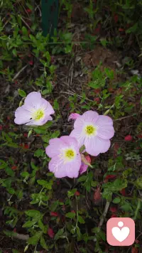 美好的体验总是诞生于没不那么美好的经历，而你终究会有所所改变！