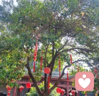当你看见山，你就在山之外
当你看见河，你就在河之外
当你看见情绪，你就在情绪之外
 
做情绪的观察者，而非困在其中的人🌿配图