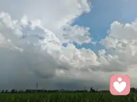我的头发也会生长，泛黄，掉落，那我也是树吗？我的眼泪也会凝集，汹涌 ，流动，那我也是湖吗？我的皱纹也会聚集，凸起，纵横，那我是也山吗？我的爱意也会闪耀，暗淡，明灭，那我也是星星吗？我的思绪也会远行，无色，无形，那我也是风吗？
我们是世界的孩子，怎么会没有他的痕迹呢？天地与我共生万物与我合一，人体有365个穴位，一年有365天，手关节有28个，天上星宿28个，我们来世上一趟，就是为了看树是怎么生长的？河流如何奔向大海，风是如何给思念的人带去问候的，秋天了，草在结它的种子，树在摇他的影子，我们就这样看着，日子美好，我是自己的星球，也是整个宇宙，原来，我是万物，万物是我！