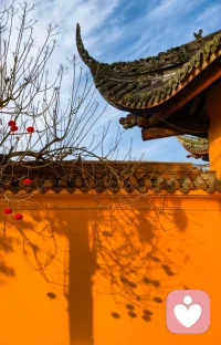 您好！让我们在这个瞬间，用心交流，用心倾听，用心分享。让我们一起开启一段温馨的对话，打开心扉，畅所欲言，让我们一起成长，一起进步，一起探索未知领域，欢迎您的加入，让我们一起聊天吧！配图