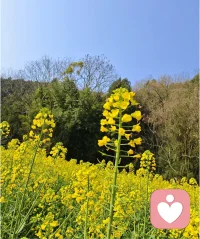 您好！让我们在这个瞬间，用心交流，用心倾听，用心分享。让我们一起开启一段温馨的对话，打开心扉，畅所欲言，让我们一起成长，一起进步，一起探索未知领域，欢迎您的加入，让我们一起聊天吧！配图