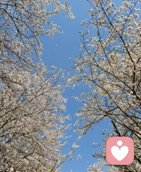 您好！让我们在这个瞬间，用心交流，用心倾听，用心分享。让我们一起开启一段温馨的对话，打开心扉，畅所欲言，让我们一起成长，一起进步，一起探索未知领域，欢迎您的加入，让我们一起聊天吧！配图