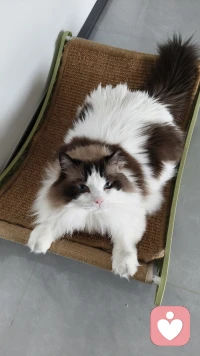 我想听你讲故事配图