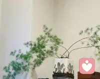 同频的人，不用追赶，自然相逢。配图