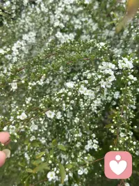 一个女生最迷人的，从来不是外表的惊艳，而是骨子里的性格底色。
那是藏在温柔里的坚定，藏在安静里的通透，藏在懂事里的自愈力。

她或许话不多，但心里有分寸；
看似柔软，却从不轻易妥协；
外表温和，内心自有山海。

她的底色，是清醒、是克制、是自愈、是温柔且有力量。
不讨好、不将就、不内耗，
懂得爱自己，也懂得善待世界。

见过世事复杂，依然保持简单；
经历人情冷暖，依旧心怀柔软。
不张扬、不尖锐、不脆弱，
像风一样自由，像光一样温暖，
quietly strong，gently brave。

真正高级的女生，
底色干净，心性稳定，
自带光芒，也自带安全感。配图