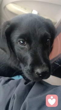 有没有过完年还在纠结工作问题的配图