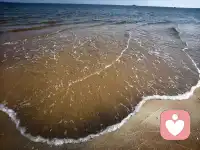 很多话，不能跟家人说，不能跟朋友说。
没关系，我在这里。
做你专属的情绪树洞，安静听你把话说完。配图