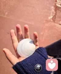 很多话，不能跟家人说，不能跟朋友说。
没关系，我在这里。
做你专属的情绪树洞，安静听你把话说完。配图