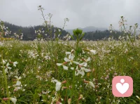 男人有没有钱不是很重要，情商高，懂得关心老婆孩子才能经营出最美好的夫妻关系和亲子关糸，大家都幸福快乐，而有的男人整天忙忙碌碌累得半死，老婆孩子还不待见，为什么！原因太多了！你们知道为什么吗？一起聊聊，希望大家都快乐幸福，婚姻美满，父慈子孝配图