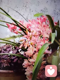 天有不测风云，人有旦夕祸福，一切皆有天定，不必内耗，好好爱自己，人生就3万多天，过一天少一天，健康快乐才是皇道