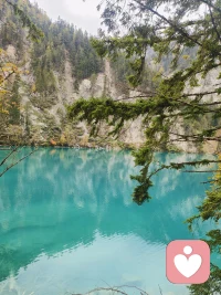 不慌不忙，安静自守。把情绪慢慢理顺，把日子慢慢过好，此刻，心是安稳的。情绪清零，心态归零。此刻，安静、平和、自在。不必讨好世界，先照顾好自己的情绪。心安，便是最好的状态。