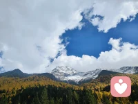 不慌不忙，安静自守。把情绪慢慢理顺，把日子慢慢过好，此刻，心是安稳的。情绪清零，心态归零。此刻，安静、平和、自在。不必讨好世界，先照顾好自己的情绪。心安，便是最好的状态。