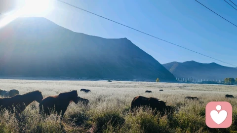 《情感语录，温柔治愈》