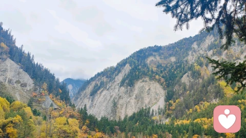 心灵倾诉—与自己温柔相拥