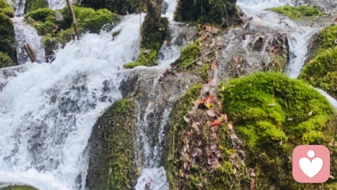 《烟火里的温柔，是爱情最好修复术》