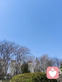 大雁排队 飞来了 山东省潍坊市
  春天属于每一个你我他