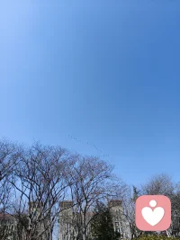 大雁排队 飞来了 山东省潍坊市
  春天属于每一个你我他