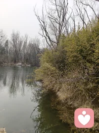 大雁排队 飞来了 山东省潍坊市
  春天属于每一个你我他