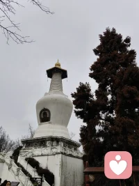 每个心理都需要被看见
自渡@他渡