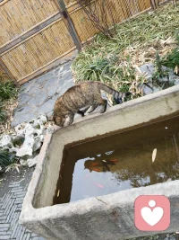 每个人都有自己的故事与内心
  喜怒哀乐充斥在空气中…
一个人小心翼翼亦或说大大咧咧走到中年
必须承认人是再坚强不过的动物一份子