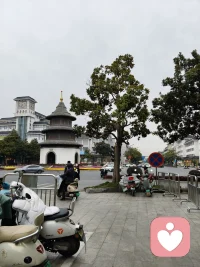 她的佳作留一份给天地日月；
另一个就是人情冷暖自知。