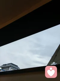 她的佳作留一份给天地日月；
另一个就是人情冷暖自知。