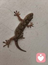 她的佳作留一份给天地日月；
另一个就是人情冷暖自知。