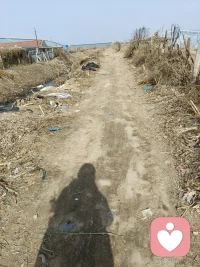 她的佳作留一份给天地日月；
另一个就是人情冷暖自知。