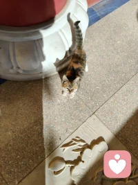 每个人都有向往美好的期望…
我也是
风调雨顺  国泰民安