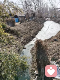 童年是顶级宝藏，藏着终生的财富定力。
  要挖掘出汩汩清泉滋养内心的力量伴我高飞亦或安好的渡过未来的日子……