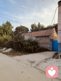 童年是顶级宝藏，藏着终生的财富定力。
  要挖掘出汩汩清泉滋养内心的力量伴我高飞亦或安好的渡过未来的日子……