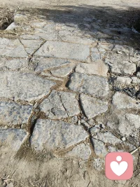 童年是顶级宝藏，藏着终生的财富定力。
  要挖掘出汩汩清泉滋养内心的力量伴我高飞亦或安好的渡过未来的日子……