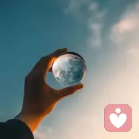 寂寞是一种心情,孤独是一种心境……想说说话就来找我🌙配图