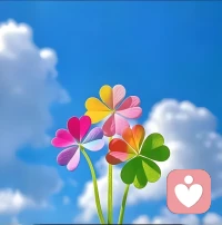 愿我们都是苦尽甘来的人配图