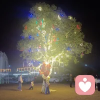 当你开始爱自己，全世界都会来爱你。配图