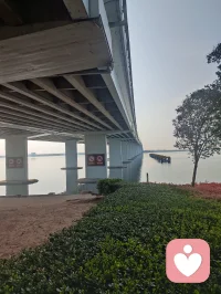 春天里的那个百花鲜配图